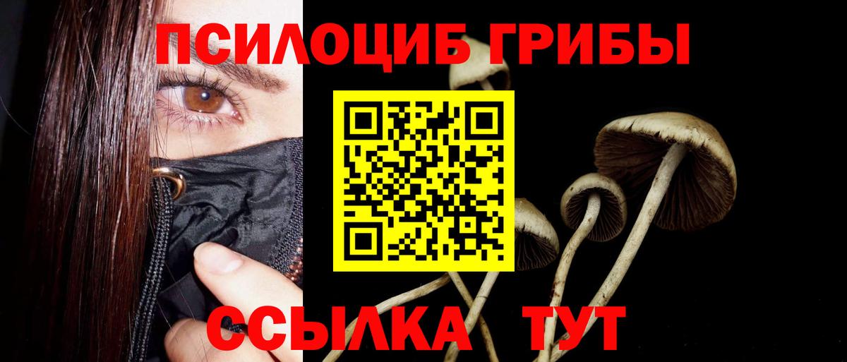 Галлюциногенные грибы GOLDEN TEACHER Моршанск